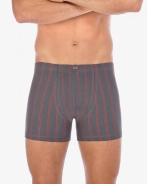 Boxer set 18484 Boxer set 18484