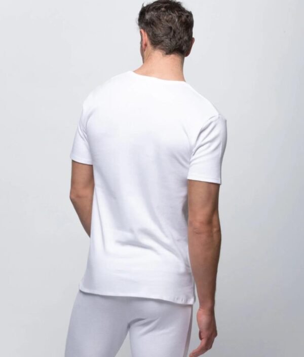 Camiseta felpa cotton mc pico 255 1