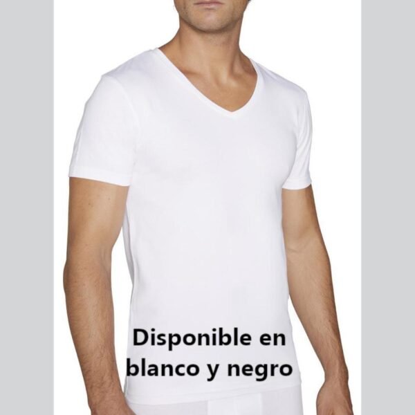 Camiseta mc cuello V 20100