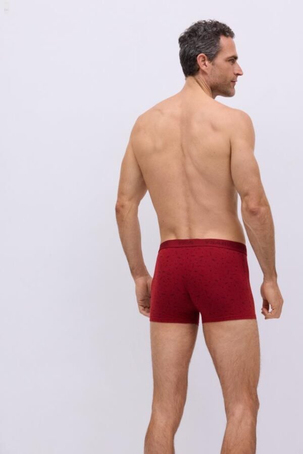 Boxer pack de 2 20390 1